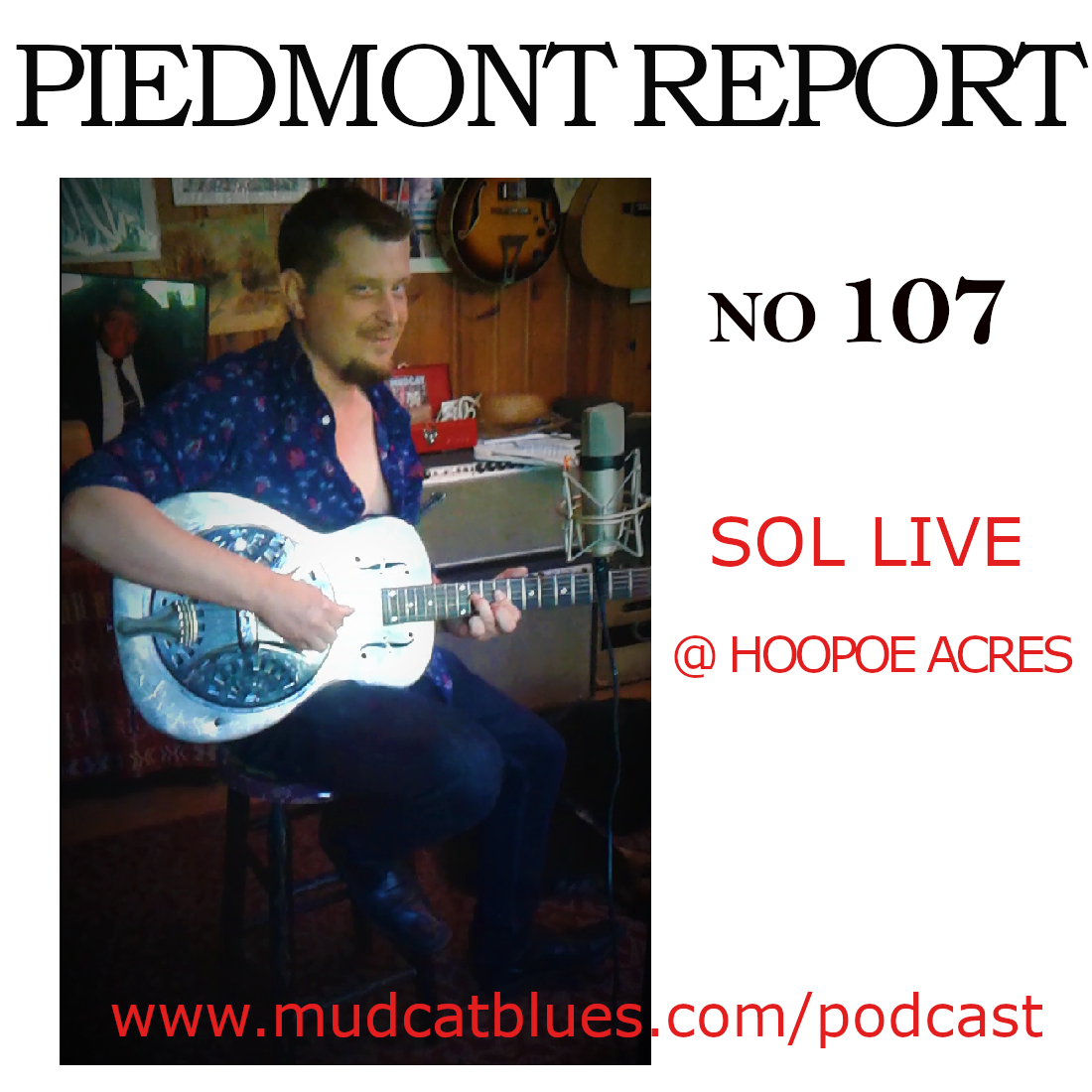 Piedmont Report 107