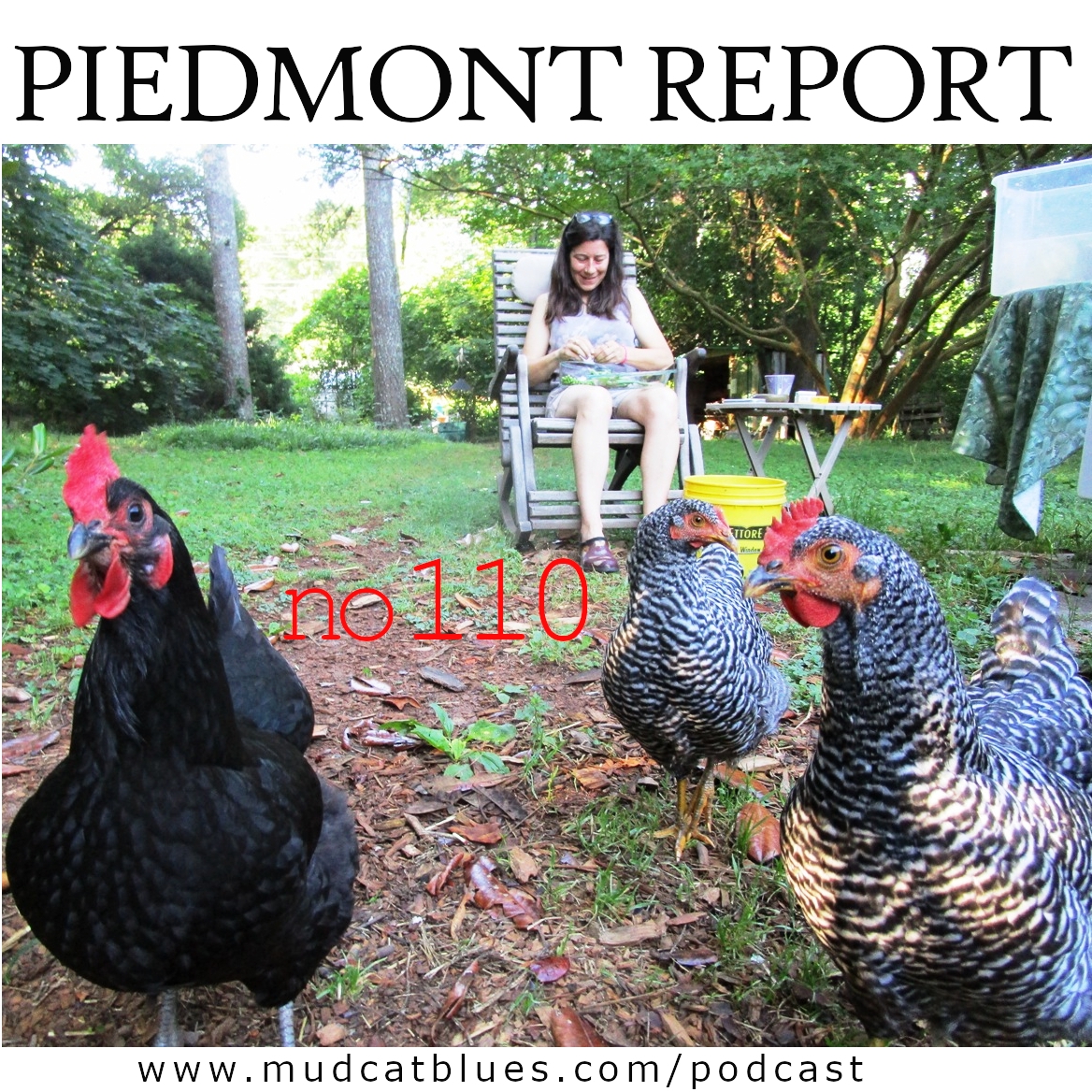 Piedmont Report 110