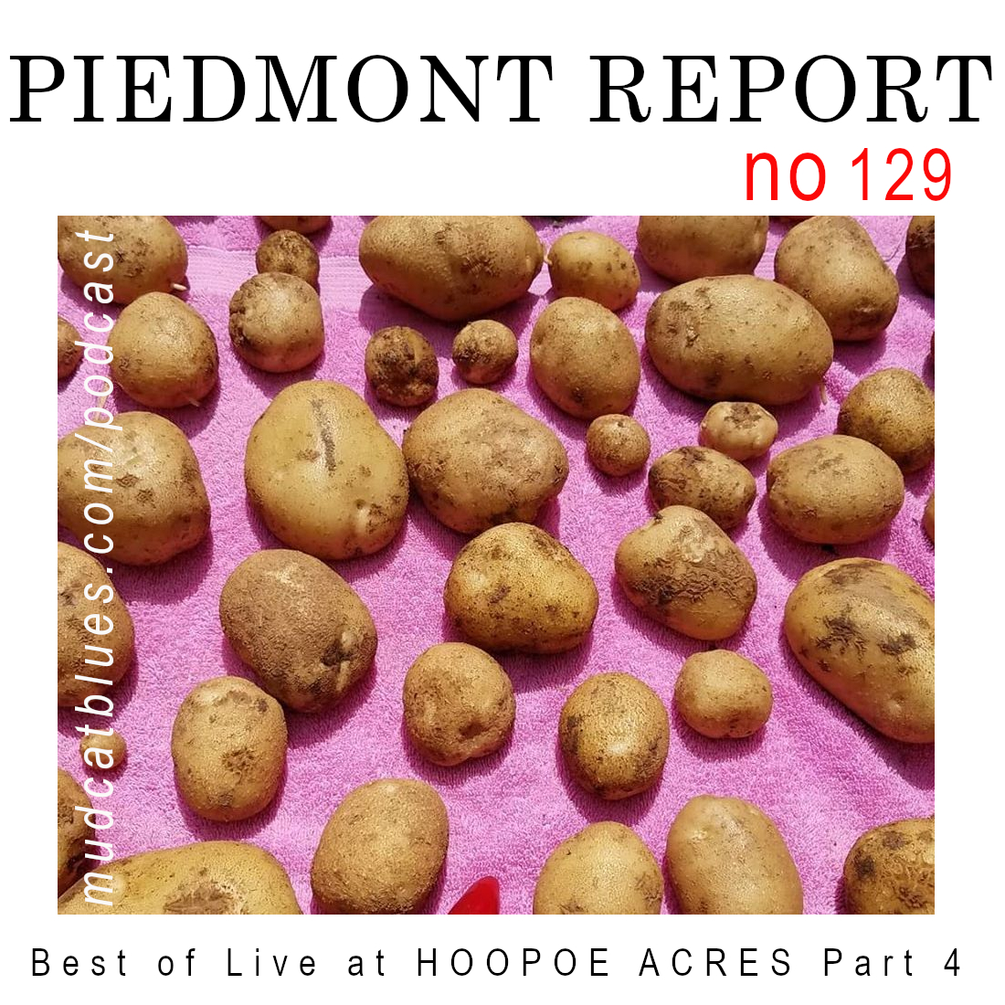 Piedmont Report 129 (Best of Hoopoe Acres, Vol. 4)